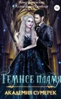 Академия сумерек 1. Темное пламя - Александра Гринберг, Анна Змеевская