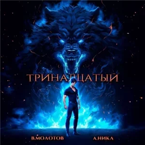 Видящий смерть 4. Тринадцатый - А.Никл, Виктор Молотов