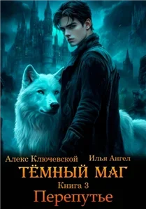 Тёмный маг. Книга 3. Перепутье - Алекс Ключевской, Илья Ангел